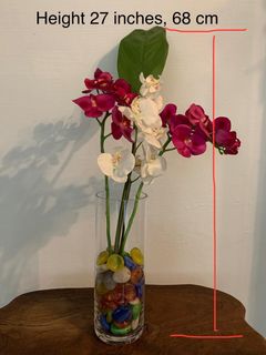(Category: ) located in . Submitted by Jnetteee (Listing ID 1183517903, Image 1). Description: .