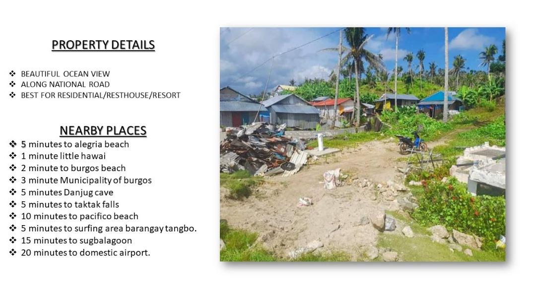 SIARGAO LOT, Property, For Sale, Lot on Carousell
