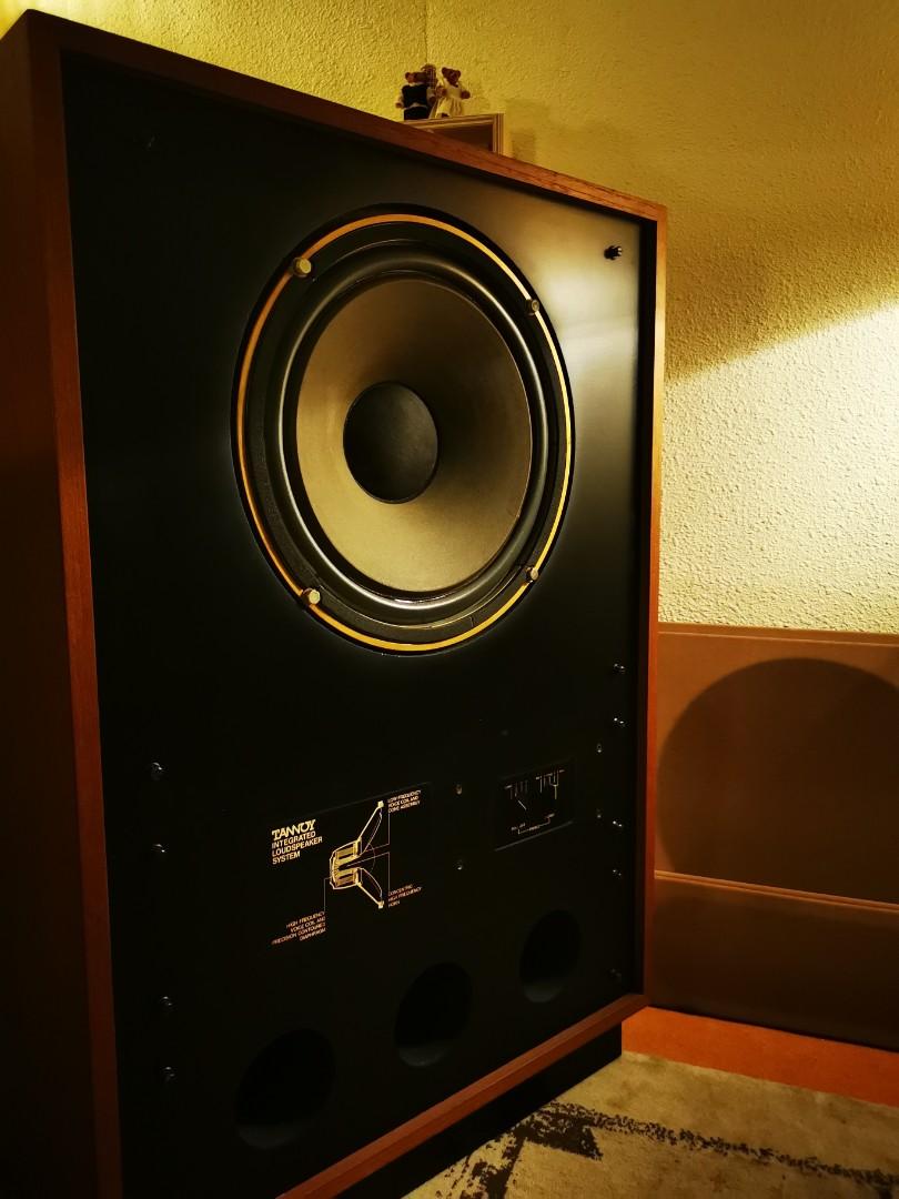 Tannoy arden hot sale hpd385