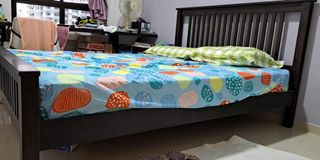 (Category: ) located in . Submitted by rain1611 (Listing ID 1183644574, Image 1). Description: .