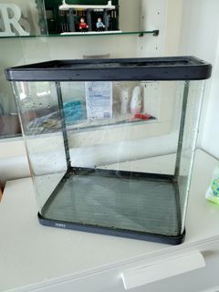 （分類：）位於 。 由 mamadontplay 提交（商品編號 1183781874，圖片 1）。簡介： 。