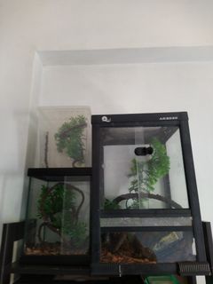 （分類：）位於 。 由 ericlineeee 提交（商品編號 1183715914，圖片 1）。簡介： 。