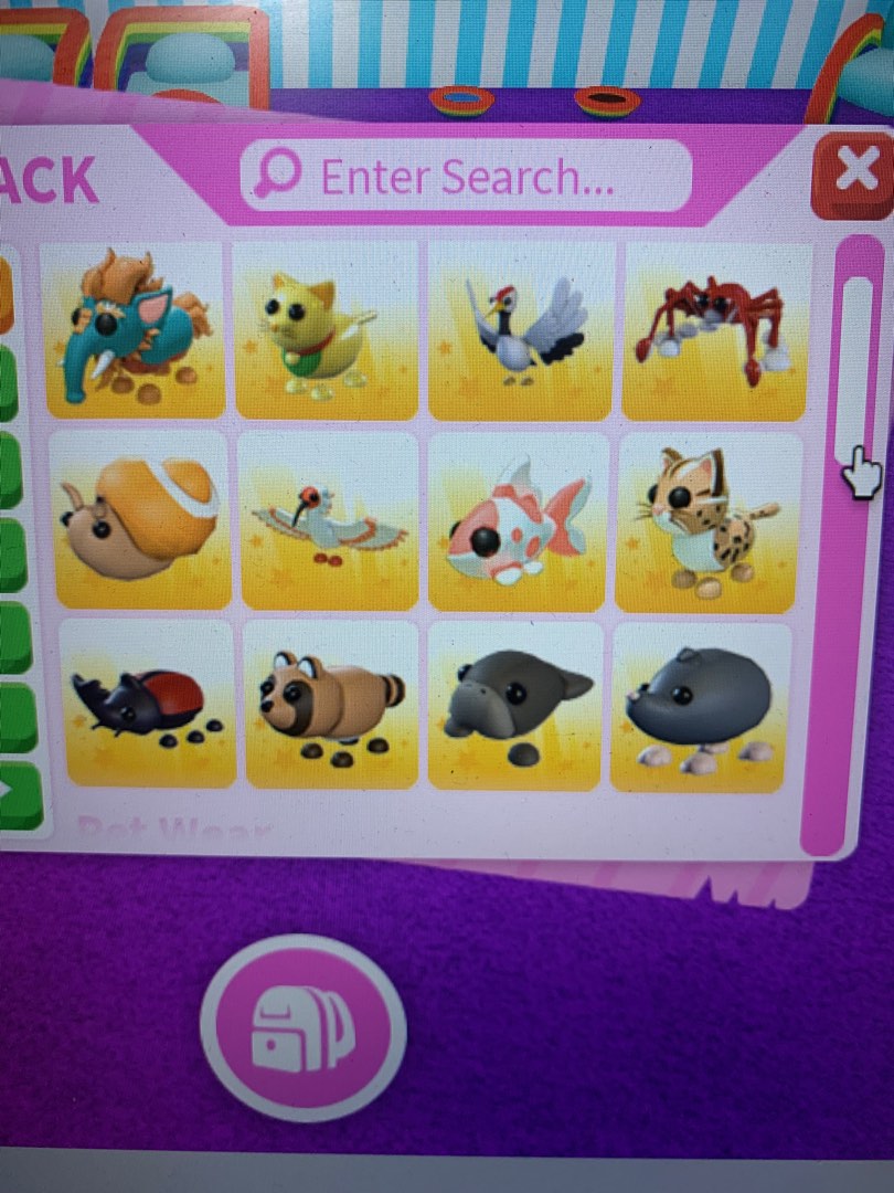 Adopt me new pet, Video Gaming, Gaming Accessories, InGame Products on