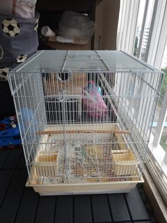 (Category: ) located in . Submitted by reree7 (Listing ID 1183795791, Image 1). Description: .
