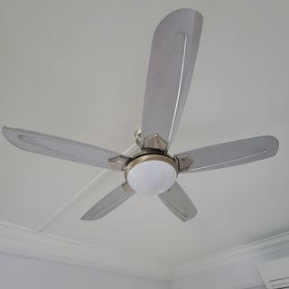 (Category: ) located in . Submitted by renlie07 (Listing ID 1183792703, Image 1). Description: .