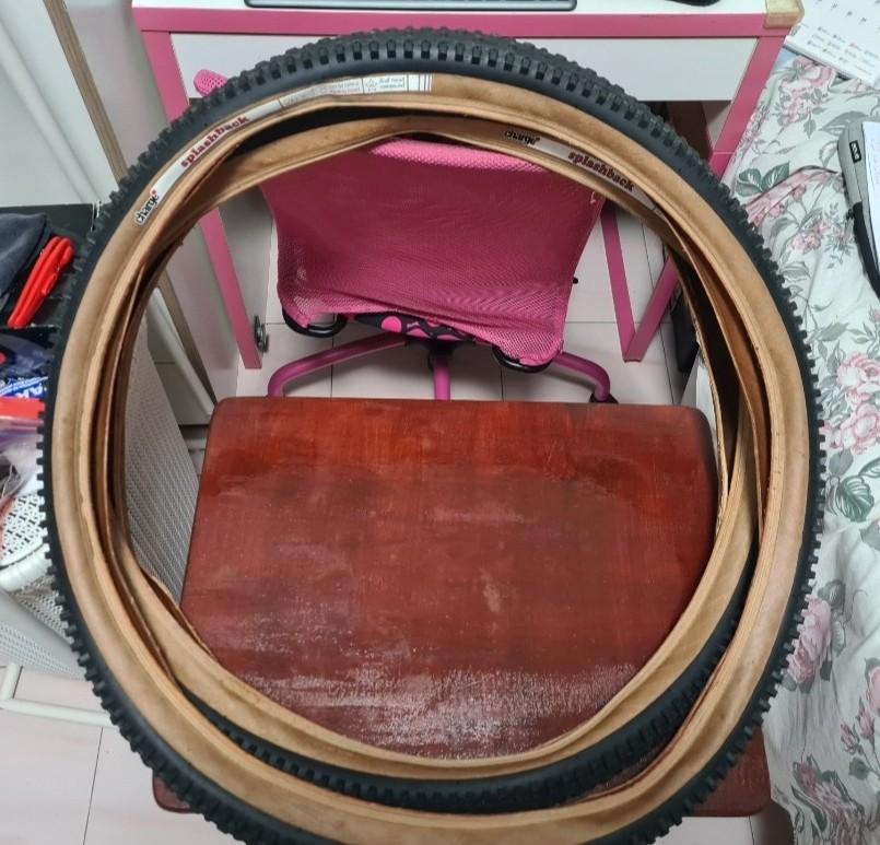 Charge Splashback tire 26