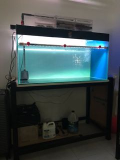(Category: ) located in . Submitted by kawanburung (Listing ID 1183688127, Image 1). Description: .