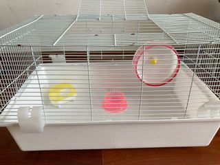 （分類：）位於 。 由 insightgensis 提交（商品編號 1183730929，圖片 1）。簡介： 。