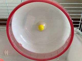 （分類：）位於 。 由 insightgensis 提交（商品編號 1183730495，圖片 1）。簡介： 。