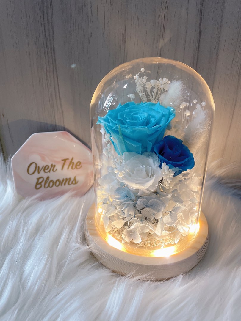 Infinity Blue Preserved Flowers in Glass Dome , Hobbies & Toys