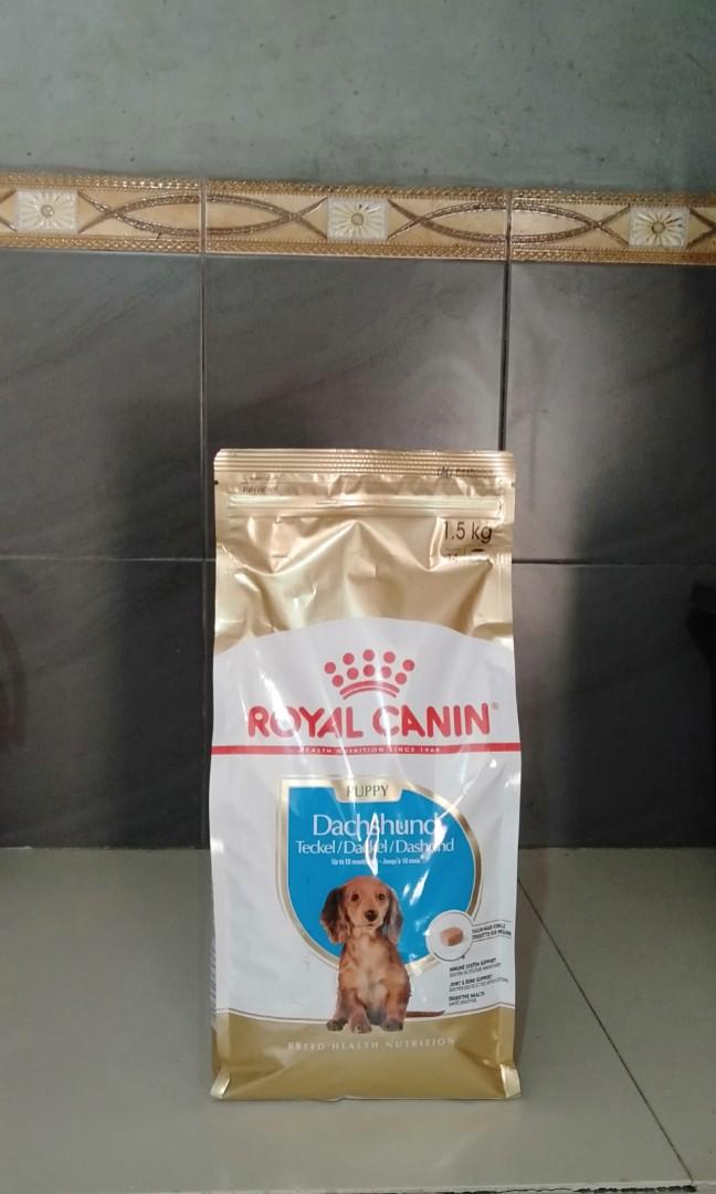 Royal Canin Breed Health Dachshund Dry Puppy Food 1.5kg