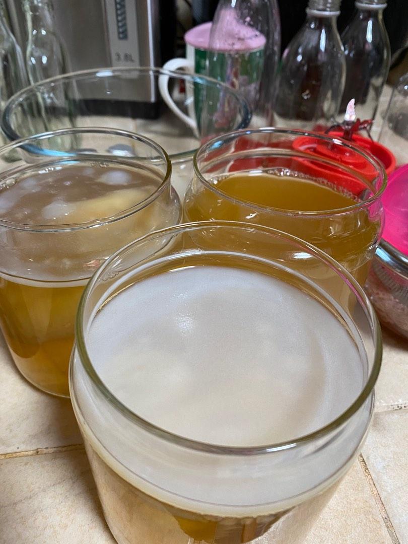 SCOBY (Category: Other Food & Drinks) located in Singapore. Submitted by mags.alexis (Listing ID 1180016021, Image 3). Description: Green Tea SCOBY Self collect at Toa Payoh Will give you a piece of scoby with 1 cup starter tea. If you need/want more starter tea and a jar, I can help you set it up. Comes with a fee =) just drop me a message! Happy to help out. .