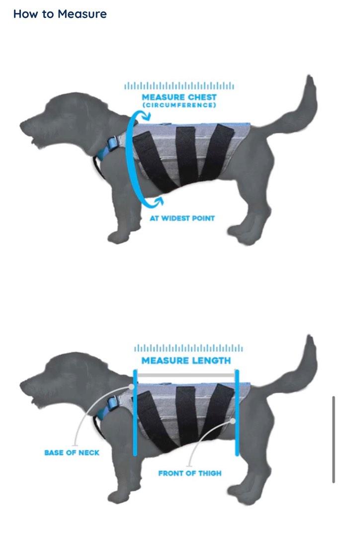 WiggleLess Back Brace Pet Supplies Health Grooming on Carousell