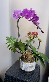 （分類：）位於 。 由 _yyk_ 提交（商品編號 1206716768，圖片 1）。簡介： 。