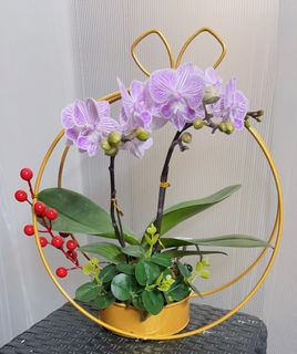 （分類：）位於 。 由 _yyk_ 提交（商品編號 1206717283，圖片 1）。簡介： 。