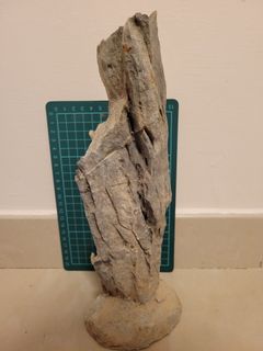 （分類：）位於 。 由 RaymondLin0129 提交（商品編號 1206842653，圖片 1）。簡介： 。