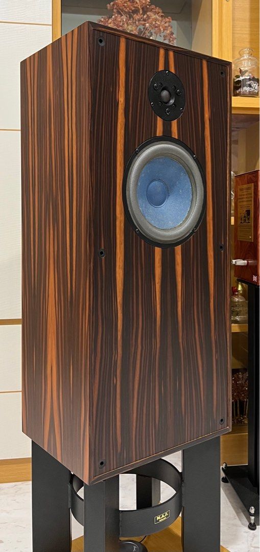 Audio Note ANE/SPx speaker, Audio, Soundbars, Speakers & Amplifiers on