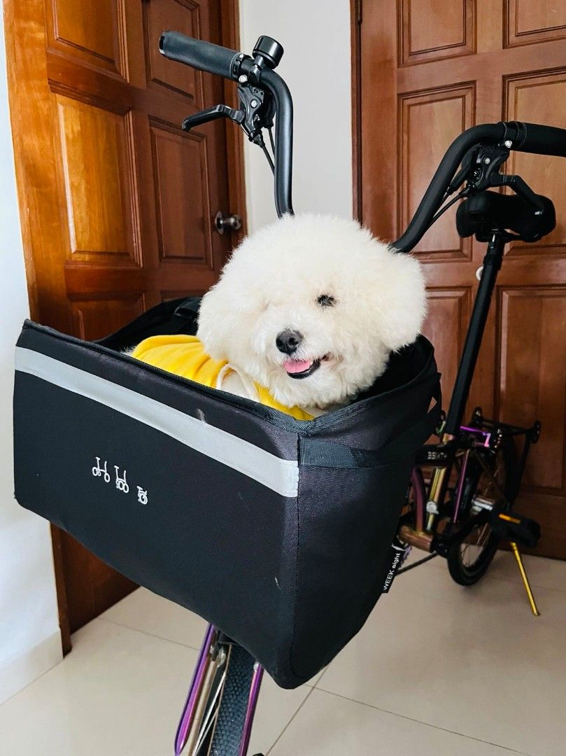 🔥SG INSTOCK🔥 💥 Authentic Brompton Basket Bag💥, Pikes, 3sixty