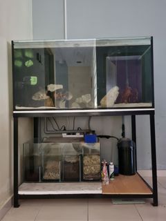 (Category: ) located in . Submitted by benrasah (Listing ID 1206738627, Image 1). Description: .