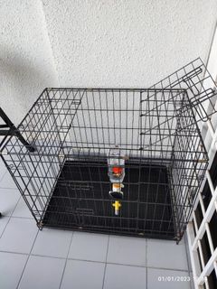 (Category: ) located in . Submitted by stopzmotion (Listing ID 1206755015, Image 1). Description: .