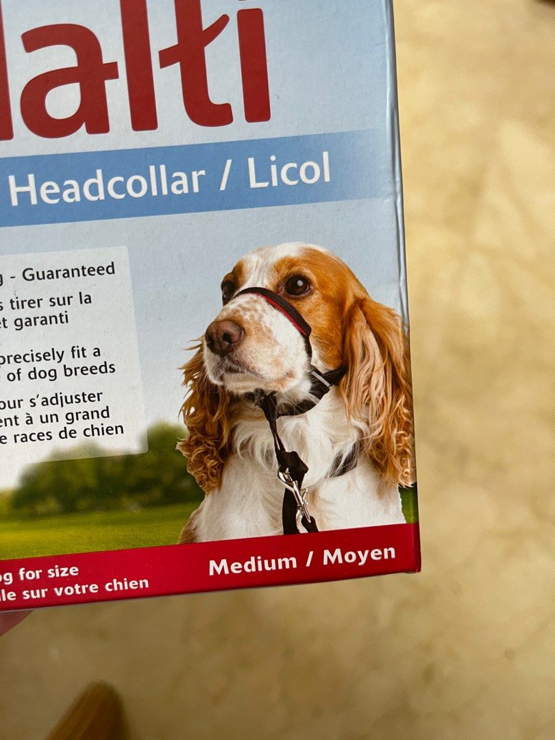 Halti head collar, Pet Supplies, Homes & Other Pet Accessories on Carousell
