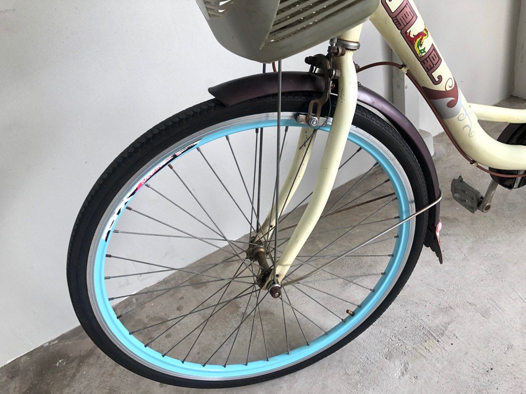 Lady’s 24” Phoenix smooth gearing Classic Single Gear with front basket