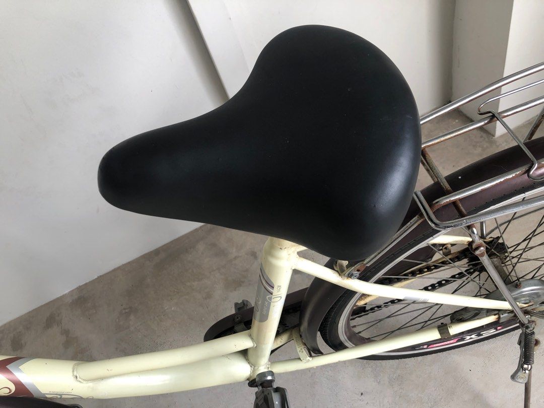 Lady’s 24” Phoenix smooth gearing Classic Single Gear with front basket