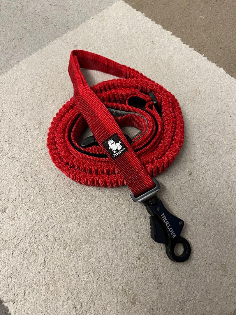 Multiway Leash, Pet Supplies, Homes & Other Pet Accessories on Carousell