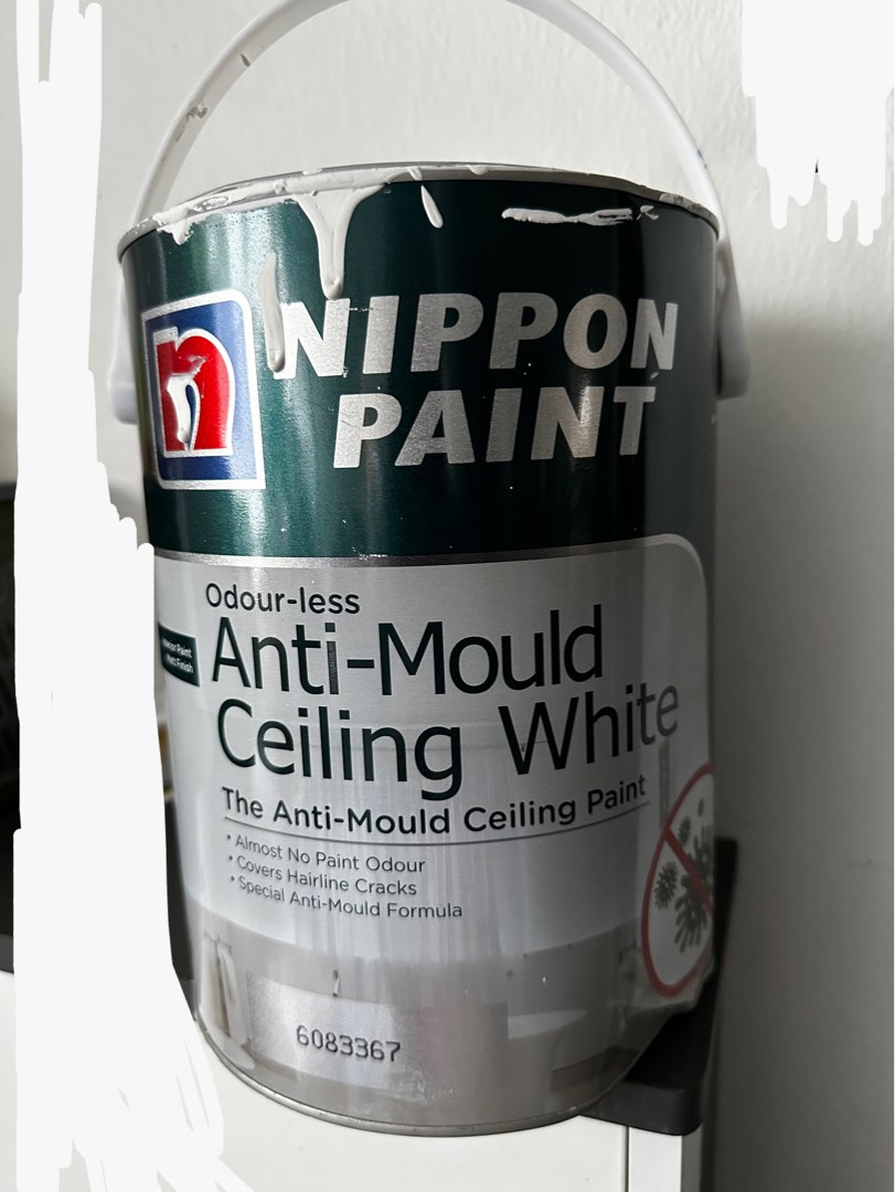 Nippon Paint AntiMould Ceiling White, Furniture & Home Living, Home