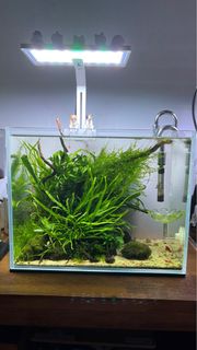(Category: ) located in . Submitted by ramon_loo (Listing ID 1206753079, Image 1). Description: .
