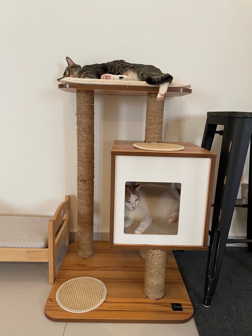 Vesper cat hotsell tree review