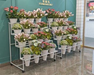 (Category: ) located in . Submitted by gamxiahamida (Listing ID 1206824804, Image 1). Description: .