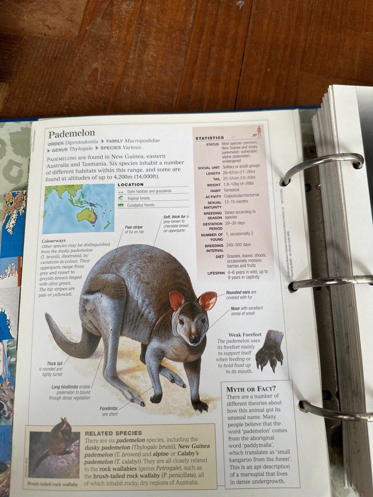 Wildlife: The Ultimate Fact File, Hobbies & Toys, Books & Magazines ...