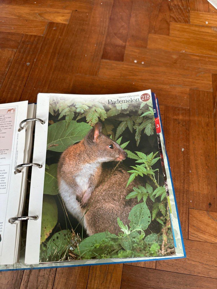Wildlife: The Ultimate Fact File, Hobbies & Toys, Books & Magazines ...