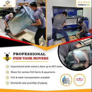 🐝#1 SG FISH TANK MOVER / PIANO MOVERS/ FISH TANK MOVER/HOUSE MOVER/OFFICE MOVER/GYM SET EQUIPMENT MOVER/POOL TABLE MOVERS/ASSEMBLY DISMANTLE SERVICE/IKEA ASSEMBLY/DISPOSAL/DELIVERY SERVICE/KITCHEN MOVER/BEST MOVERS/搬家服务