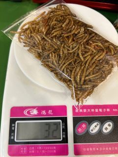 高蛋白麵包蟲乾～出清換空間～