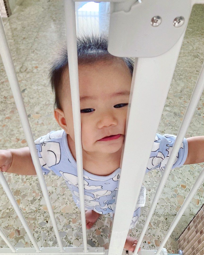 Adjustable Baby Safety Gate Automatic Close Door For Pet Kids Fence