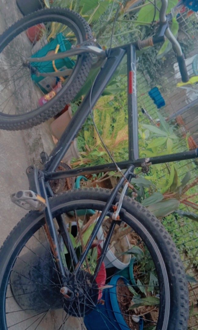 Batalya ng bike in discount english