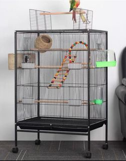Offer $98- 61x43x94.5cm Hammerspray wrought iron Parrot Cage. bird cage for parrot up to medium size. perch & cup included. Other accessories sold separately . Add fender $23. Brand New. $10 delivery charge (2 to 4days, self assembly)