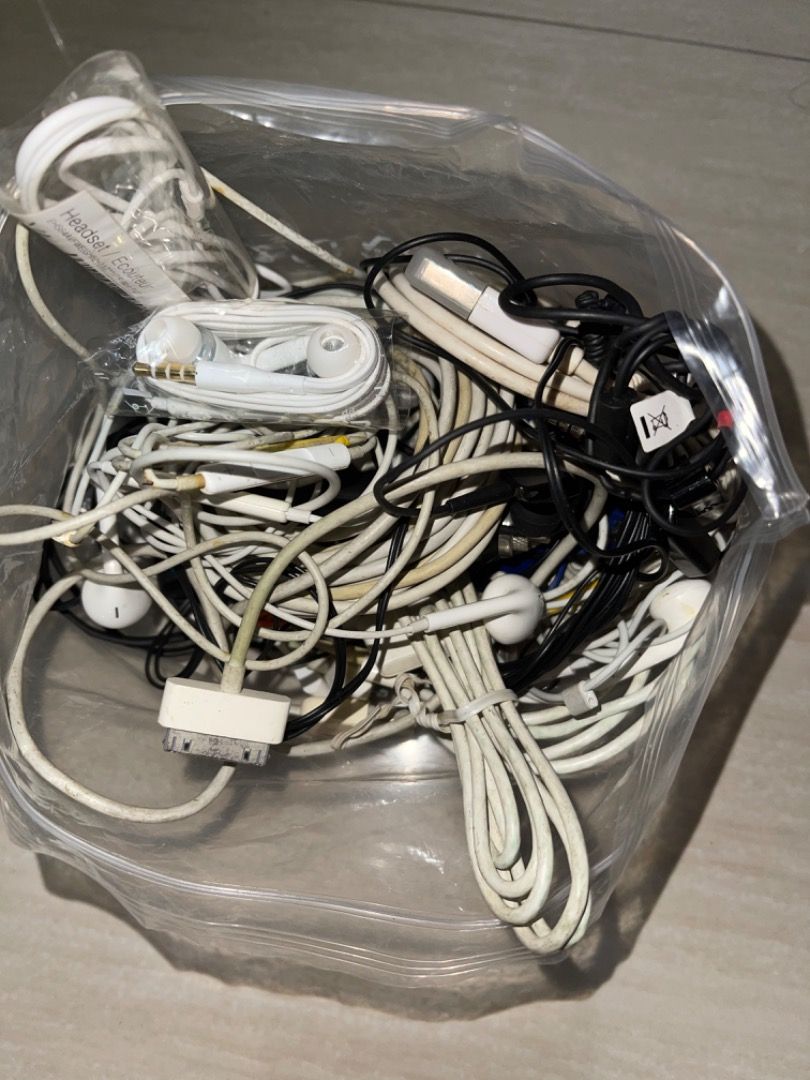 Earphones