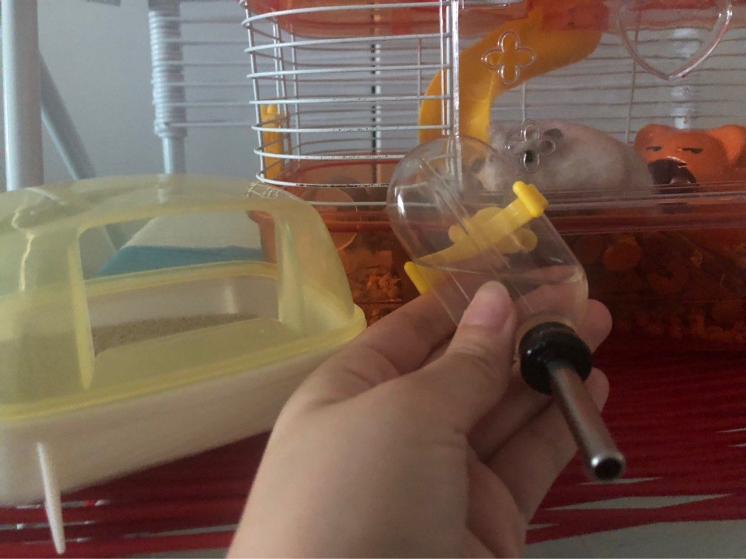 Hamster Cage + accessories | Hamster cage with accessories | small ... - Hamster Cage Accessories Storage
