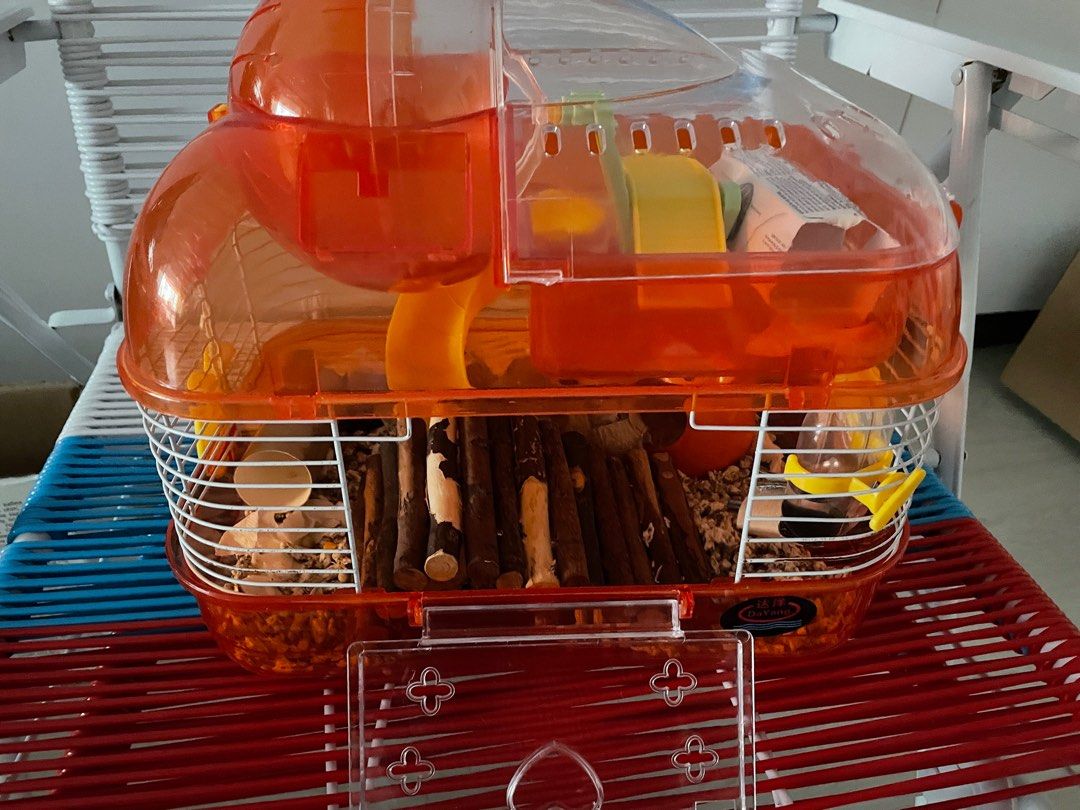 Picture of Hamster Cage + accessories | Hamster cage with accessories | small ...