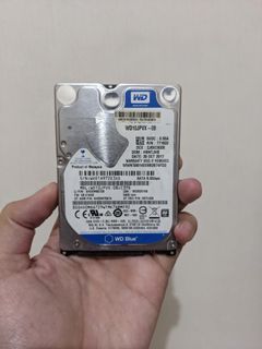Harddisk WD Laptop 1TB Sentinel 100