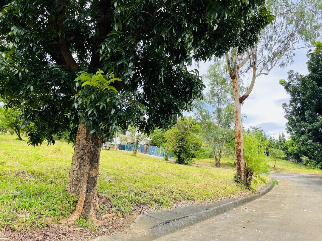 Lot for sale in Havila Highlands Pointe Taytay Rizal 262 sqm, Property