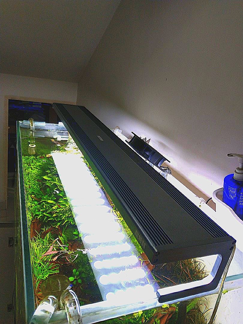 Netlea RGB 90 75w LED Aquarium light for aquascaping, Pet Supplies, Homes & Other Pet