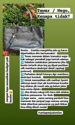 Tas wanita