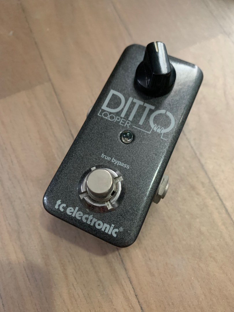 ditto looper reverb