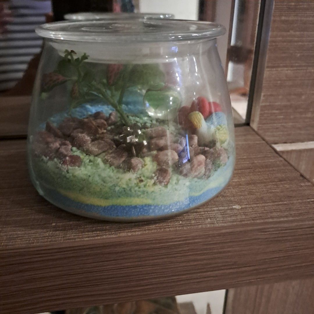 Terrarium, Hobbies & Toys, Stationery & Craft, Flowers & Bouquets on