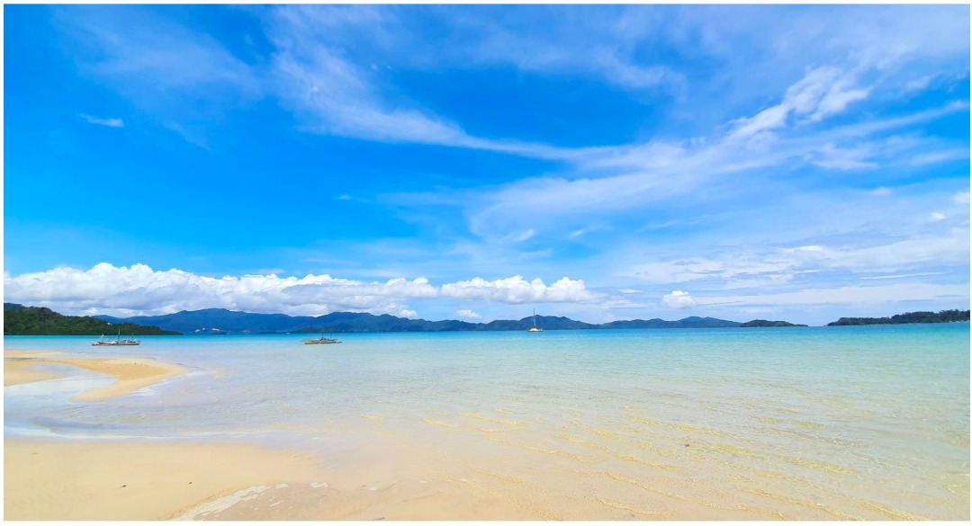 For Sale Beach Front Farm Lot in San Vicente Palawan, Property, For