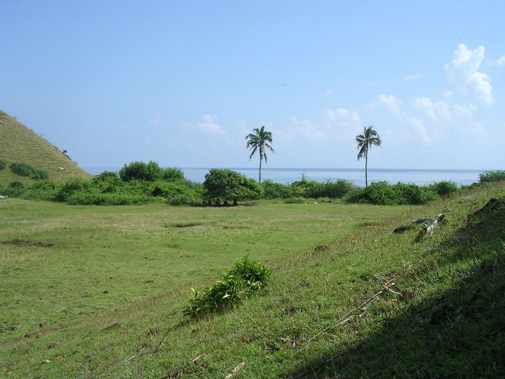Cheap Beach front63226190253442112